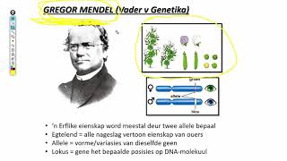 Lewenswetenskappe GR12 Genetika Les2 [upl. by Ahsas]