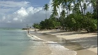 The Caribbean Island of Tobago [upl. by Barn]