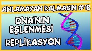 Anlamayan Kalmasın 18 DNA nın Eşlenmesi  Replikasyon [upl. by Pascia]