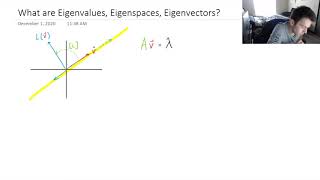 Eigenvectors Eigenvalues Eigenspaces Explained Easy Explanation [upl. by Alimak]