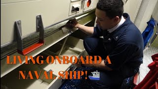 NAVY LIFE  WHAT LIVING ONBOARD A NAVY SHIP IS LIKE [upl. by Acirret]