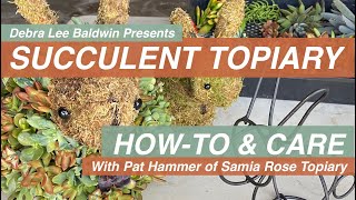 Succulent Topiary Design Ideas DIY amp Care Essentials [upl. by Nedle]