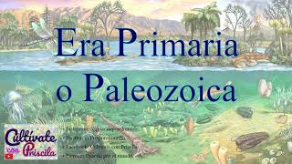 Era Primaria o Era Paleozoica  Geología [upl. by Egrog]