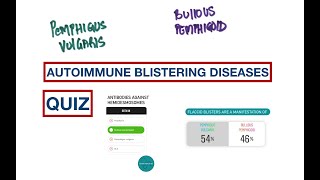 Blisters Pemphigus Vulgaris vs Bullous Pemphigoid  USMLE  MCQs [upl. by Secunda733]