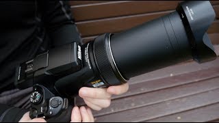 Nikon P1000  Review and Sample Zooooooooooooms [upl. by Lyns]