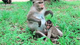 How Do Monkey Weaning Baby  Mom Try Run Away From Baby [upl. by Lahcar]