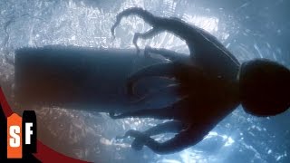 Tentacles 11 Terrifying Boat Attack 1977 HD [upl. by Yedoc583]