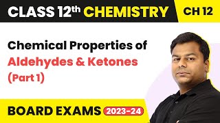 Chemical Properties of Aldehydes and Ketones Part1  Class 12 Chemistry Chapter 12 202223 [upl. by Venetis108]