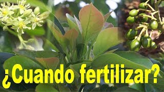 Cuando Fertilizar 2do video del Curso de Fertilización [upl. by Elyl]