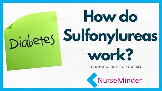 How do Sulfonylureas work Diabetes Management [upl. by Kata]