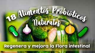 18 ALIMENTOS PROBIÓTICOS naturales  Regenera y mejora la Flora intestinal [upl. by Cecile]