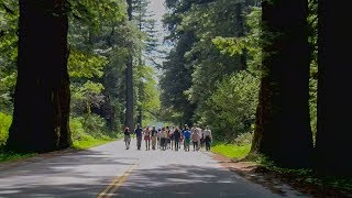 Stanford Law students work with and learn from Yurok tribal leaders [upl. by Andromede513]