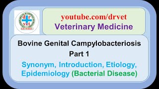 Bovine genital campylobacteriosis Part 1 synonym introduction etiology epidemiology [upl. by Staw]