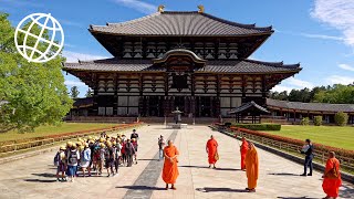 Ancient Nara Japan Amazing Places 4K [upl. by Aidile]