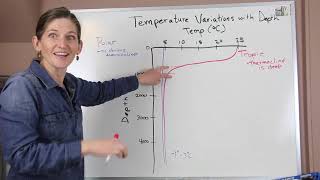 Temperature Variations with Depth [upl. by Sheppard]