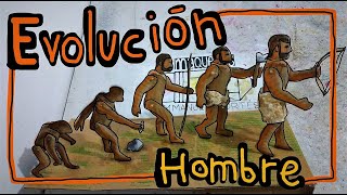 Evolución del Hombre maqueta hominización [upl. by Nosnah]