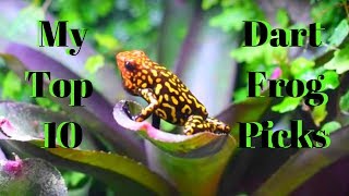 My Top 10 Favorite Dart Frogs [upl. by Torrell302]