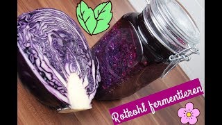 ❤ Rotkohl fermentieren ❤ [upl. by Tenahs]