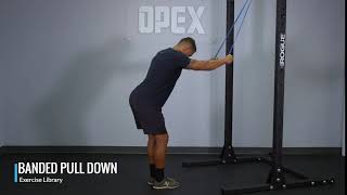 Banded Pulldown  OPEX Exercise Library [upl. by Lathrope]