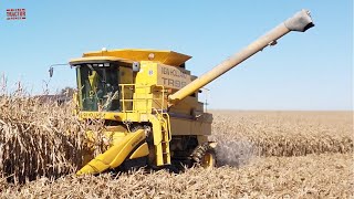 NEW HOLLAND TR99 Combine Harvesting Corn [upl. by Llemmart]