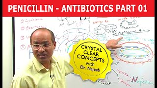 Penicillin  Antibiotics  Dr Najeeb  Part 14 [upl. by Htebizile]