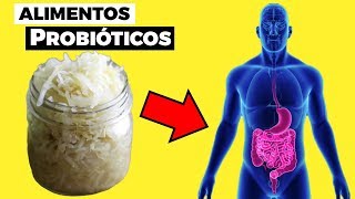 11 ALIMENTOS PROBIÓTICOS para tener una flora intestinal e intestino saludable [upl. by Otte841]