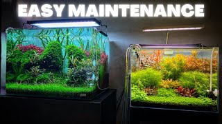 AQUARIUM MAINTENANCE FOR BEGINNERS  QUICK AND SIMPLE [upl. by Idnyl]