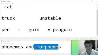 Phonemes and Morphemes the basics [upl. by Kali]