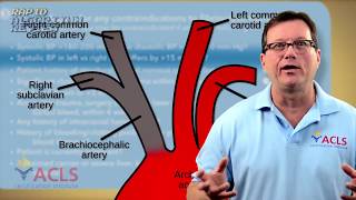 Fibrinolytic Therapy Checklist [upl. by Australia]