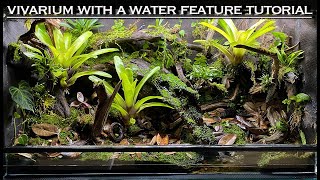 EPIC Vivarium With a Water Feature Bioactive Tutorial [upl. by Anifur283]