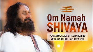 Powerful Om Namah Shivaya Chanting Meditation By Gurudev Sri Sri Ravi Shankar  Lord Shiva Mantra [upl. by Euqitsym483]