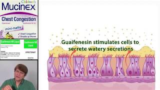 Expectorants Guaifenesin [upl. by Schulman296]