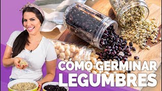 GERMINAR LEGUMBRES  Jacquie Marquez [upl. by Yttik]