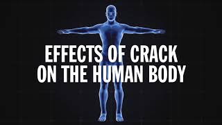 Science Behind Addiction Crack [upl. by Ociredef717]