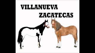 Corridos de Caballos Zacatecanos [upl. by Eybbob975]