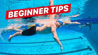 How to Swim Freestyle for Beginner Adults [upl. by Oicneconi982]