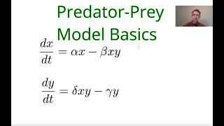 PredatorPrey Model LotkaVolterra Overview and Steady States [upl. by Aimekahs]