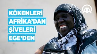 Kökenleri Afrikadan şiveleri Egeden [upl. by Thurlow]