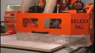 Omnitech Selexx CNC Router [upl. by Yxel781]