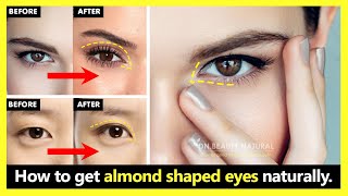 How to apply Eyeliner for Almond Shaped Eyes  The Best Way to Make Your Almond Eyes Stand Out [upl. by Joelie]