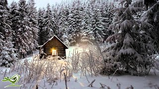 Relaxing Winter Piano Music Meditation Sleep Relaxation amp Background ★10 [upl. by Laspisa868]