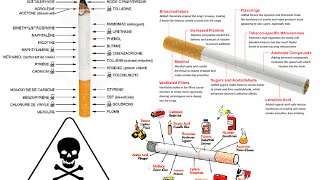 Chemicals in Tobacco Cigarettes [upl. by Suzetta]