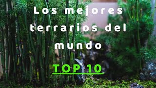 🦎 Los mejores TERRARIOS del MUNDO 🦎 2023 🌳 Best TERRARIUM in the world 🌳 [upl. by Comethuauc]