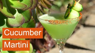 How to make the best CUCUMBER MARTINI  easy vodka recipe  Cucumber cocktail [upl. by Estel]