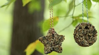 How To Make Birdseed Ornaments  Southern Living [upl. by Haelem]