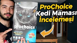 Prochoice Kedi Maması İncelemesi YETİŞKİN KEDİ MAMASI YORUMLARI [upl. by Norrie344]