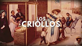 Los Criollos en la Nueva España [upl. by Isnan]