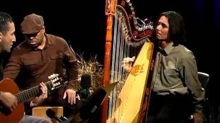 El Tren Lechero  Nicolas Carter on Paraguayan harp [upl. by Oeht]