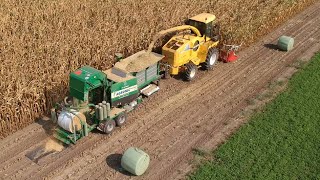 Chopping corn amp silage baling in one pass [upl. by Aicela]