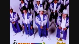 Banda Machos  Cumbia Torera [upl. by Melba]